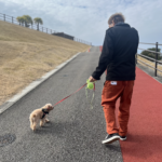 運動公園の写真です