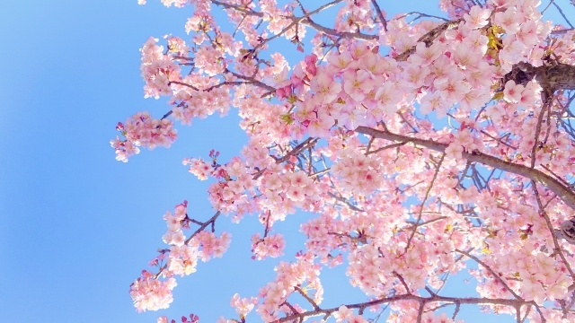 2026年4月からのご予約について