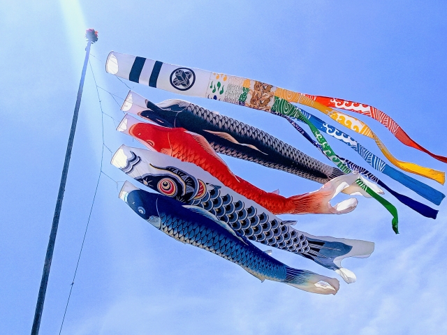 2026年5月からのご予約について